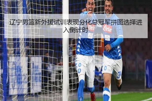 辽宁男篮新外援试训表现分化总冠军拼图选择进入倒计时